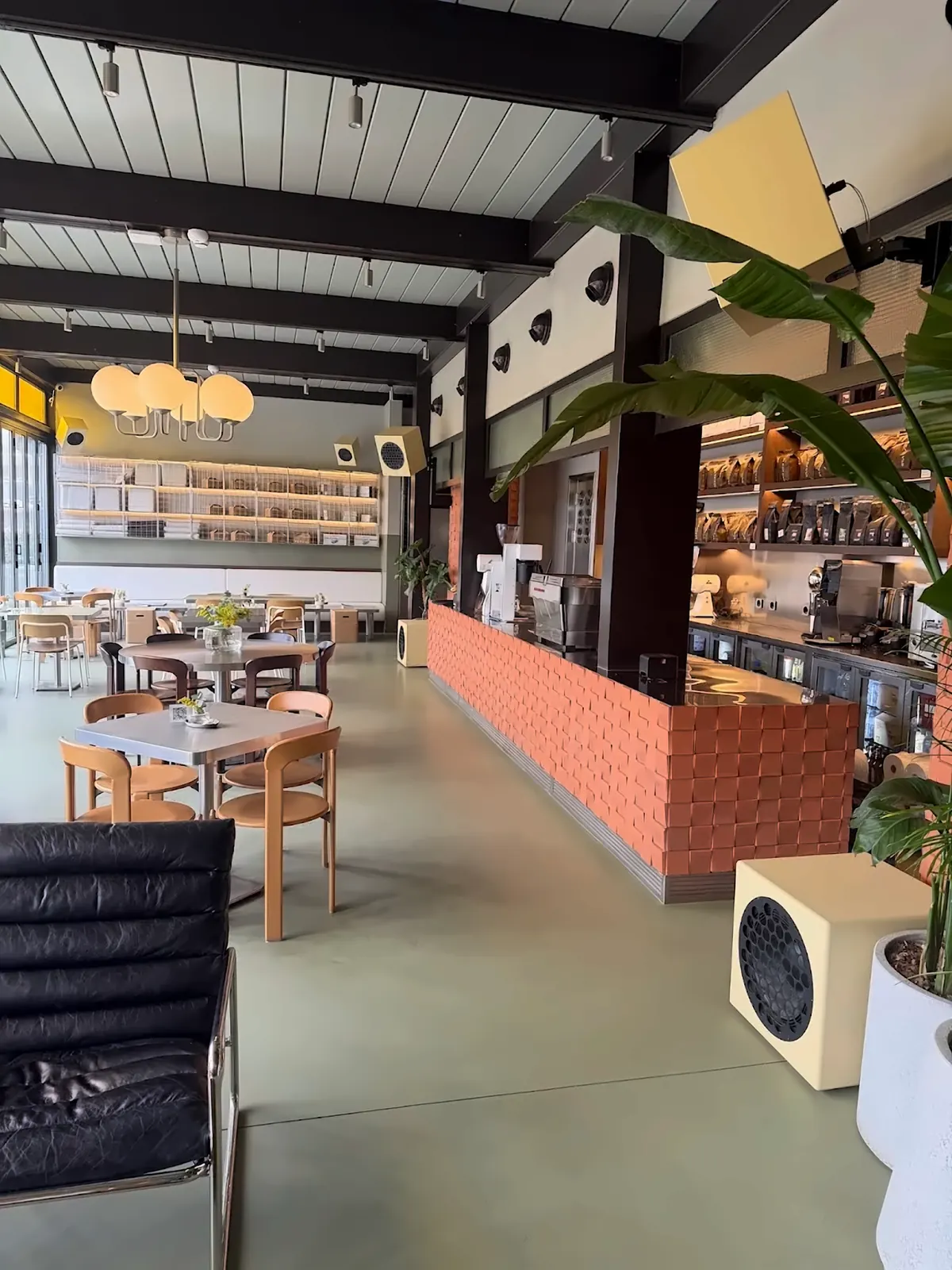 Kafe — yeşil mikrobeton zemin ve bar