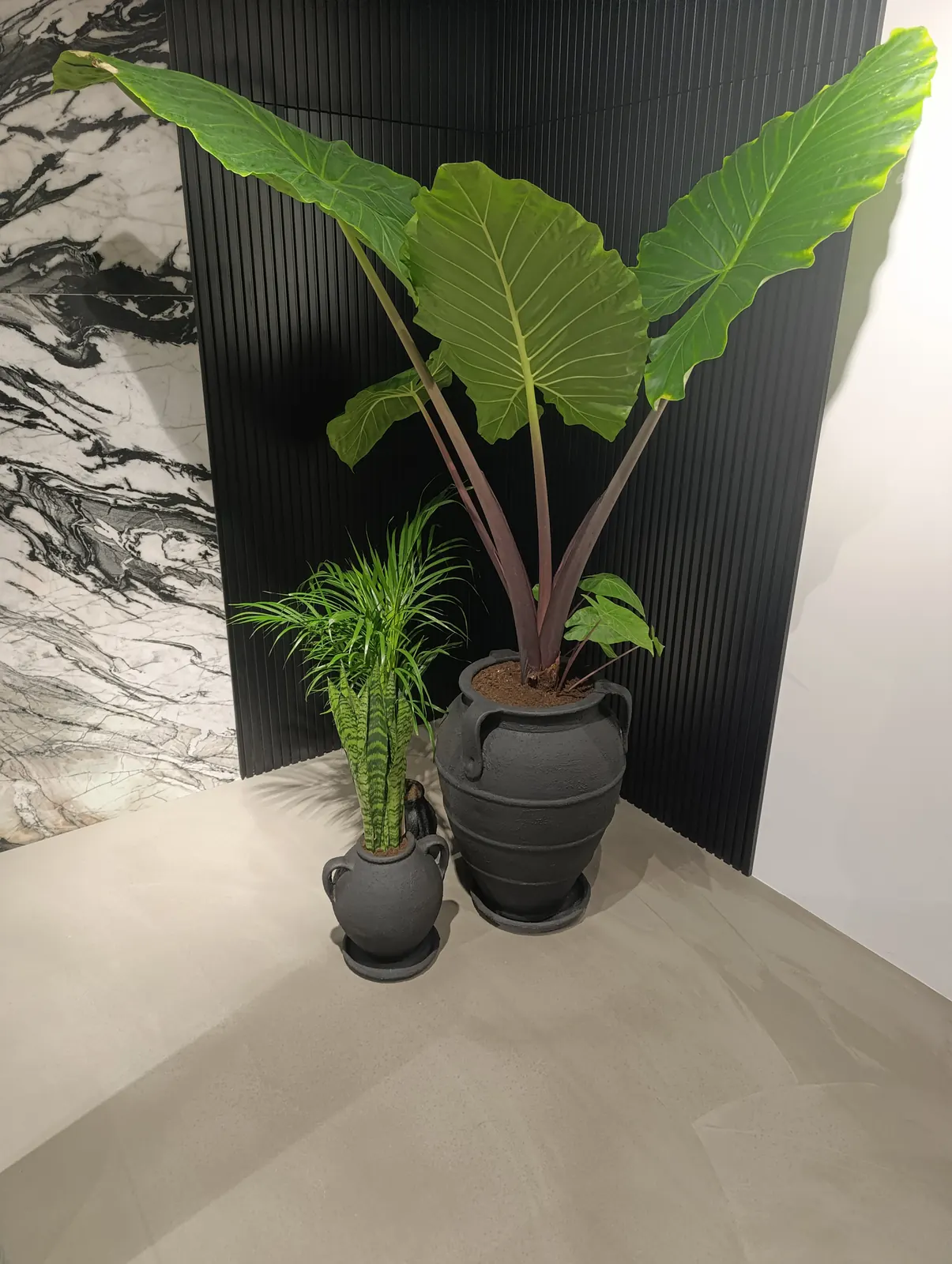 Showroom — greige mikrobeton zemin